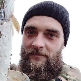 �����, ������, 37 ���