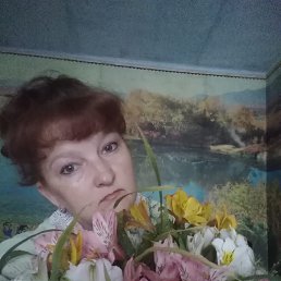 , 48, 