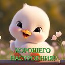 ���� ����, ������, 51 ��� - ��������� 14 ����� 2024 � ������ ���� ����������