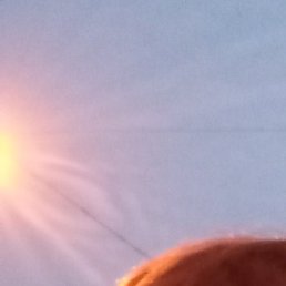 ���������, �����-���������, 46 ���