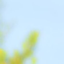 ����, ����, 62 ����