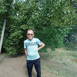 , 59, 