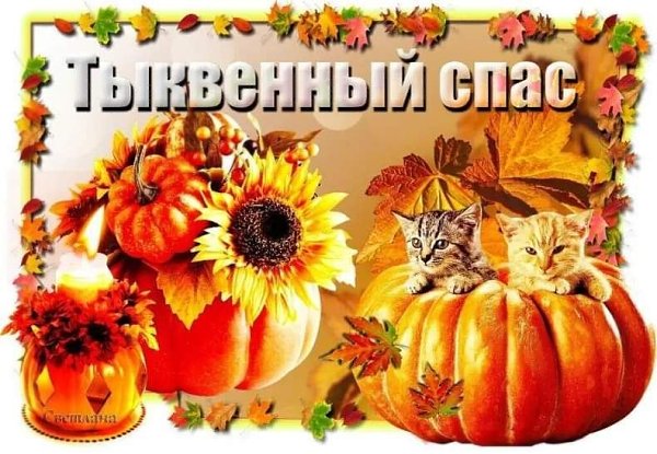 Picture background