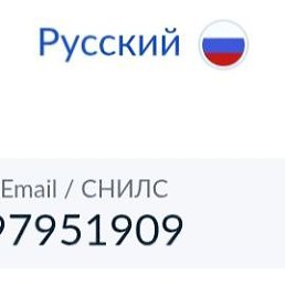 , , 36  -  11  2025