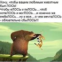  ,  -  10  2023   