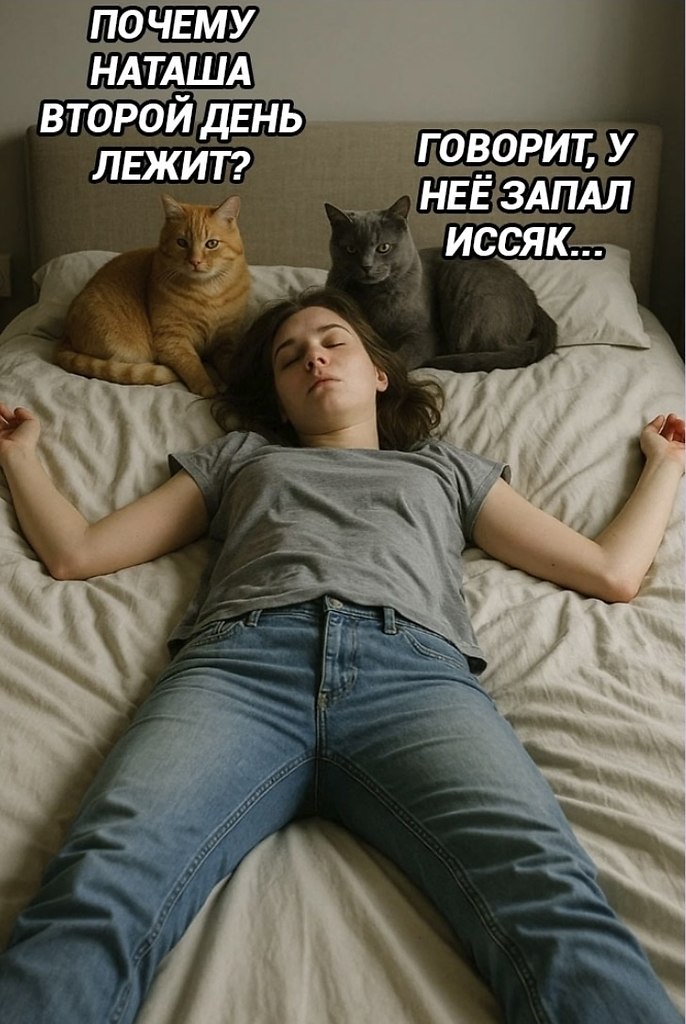     ,   
