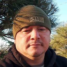 �����, ������, 37 ���