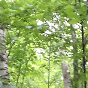 �������, 43 ����, ���������