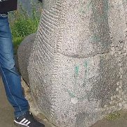  , 49 , 