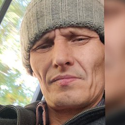 ������, ������������, 43 ����