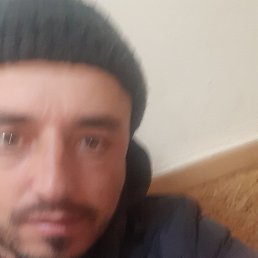 , , 31 