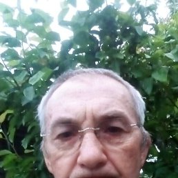 , 68, 