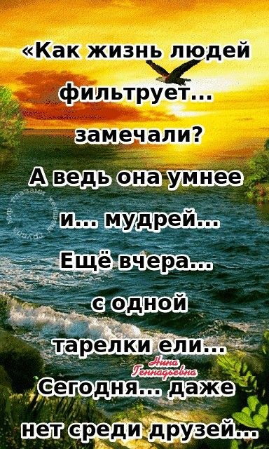 ₪╬═►  ||  ||  ◄═╬₪ - 13  2024  06:44
