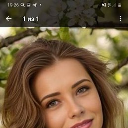 ����, ���������, 40 ���