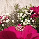 ���� ����, �������, 72 ���� - ��������� 4 ����� 2024 � ������ ���� ����������