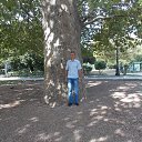 ���� ������, ����������, 52 ���� - ��������� 24 ��� 2024 � ������ ���� ����������