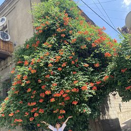 �������, �������������, 58 ���