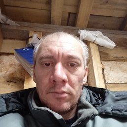 ������, 41 ���, ����������