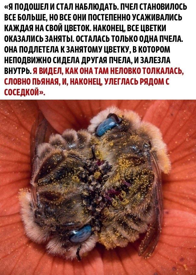    - 3