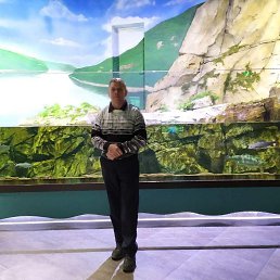 ��������, 57 ���, �����