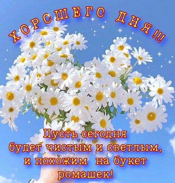 ����������� � ���������, �������� �� ������ ����. - 6 ���� 2026 � 06:12 - 8