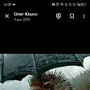 ���� �����, �������, 38 ��� - ��������� 3 ������ 2026 � ������ ���� ����������