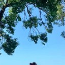 ���� ������, ������������, 45 ��� - ��������� 11 ������ 2025