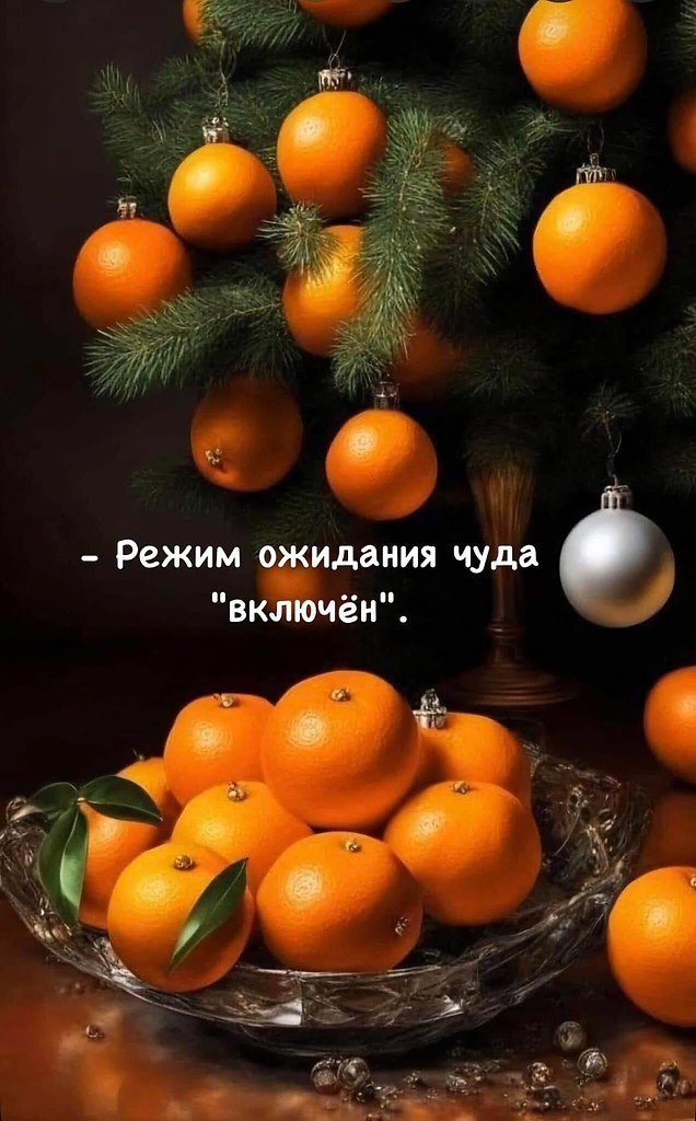   - 14  2024  14:24