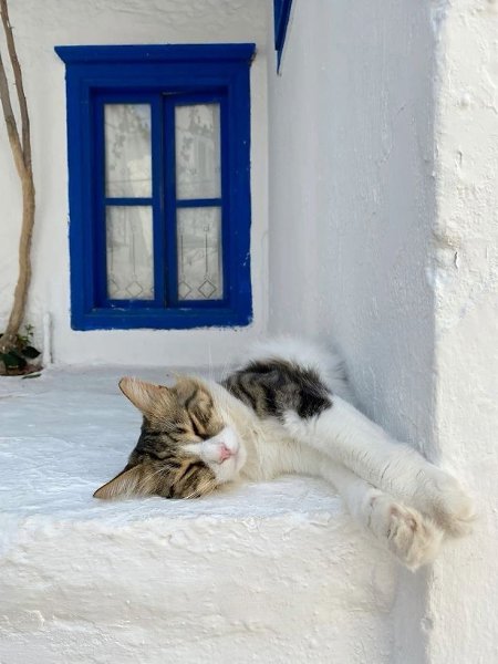 ������ �� ��������� ����� ���� ������ ����� - 6