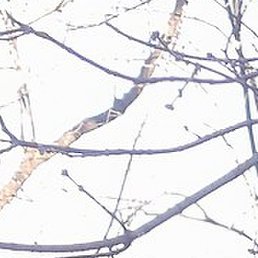 ����, ������, 50 ���