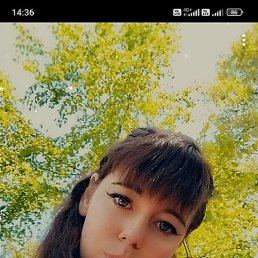 , , 24 