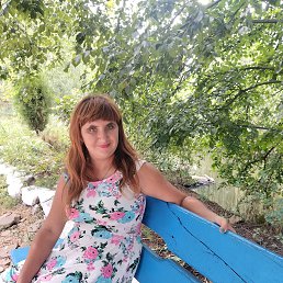 , 32, 