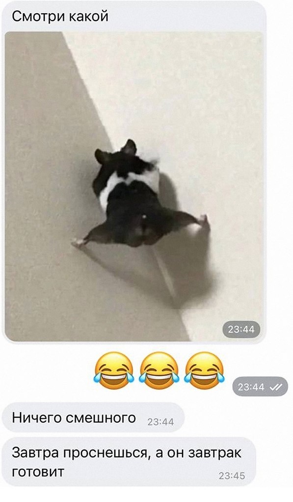 ��� ������ - 3