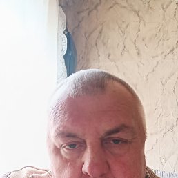 , 61, 