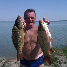Vladimir, 66 ���, ������-��-����
