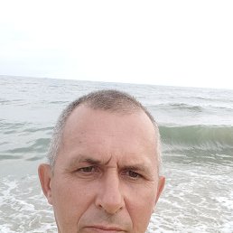 , 55, 