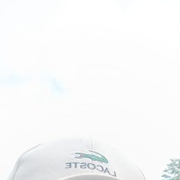, 33, 