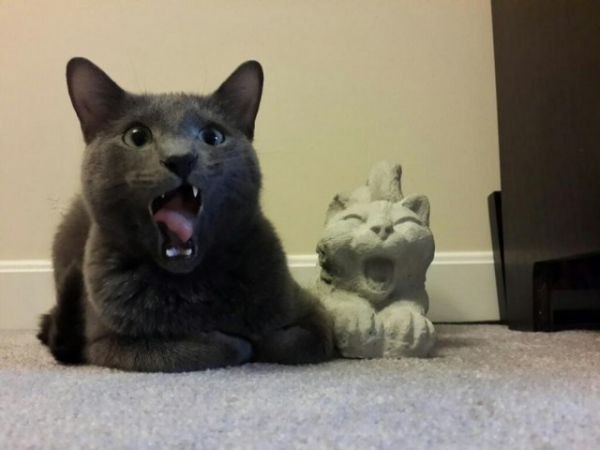 =�>.�� �������, ��� ������? �����. �����������. - 3