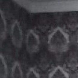 �����, �����������, 37 ���