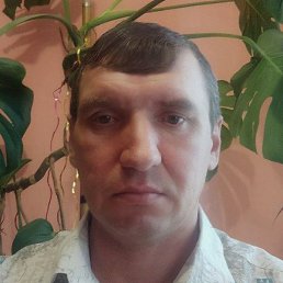 ������, ������, 46 ���