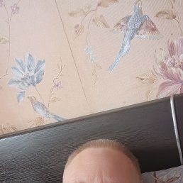 , 49, 