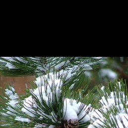 ���� ���, ���������, 42 ���� - ��������� 30 ������� 2025