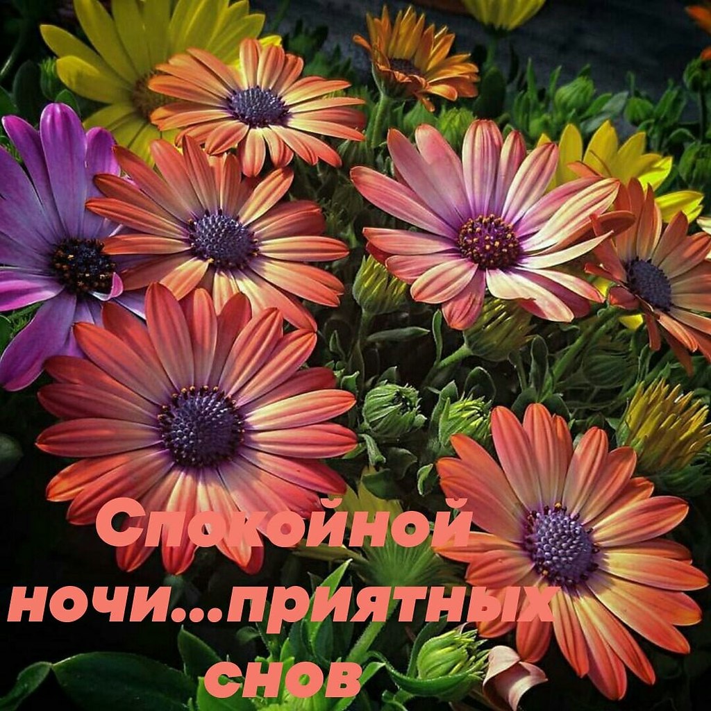   ,    . - 11  2025  16:45
