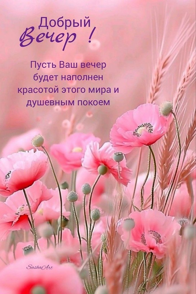 �������� ������ - 22 ���� 2026 � 17:57
