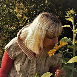 ���, ������������