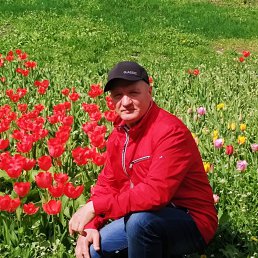 ���� �����, ��������, 50 ��� - ��������� 24 ����� 2026