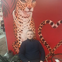 ���� �����, ������������, 47 ��� - ��������� 7 ����� 2026