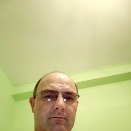 , 44, 