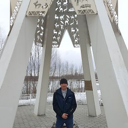 , , 41 