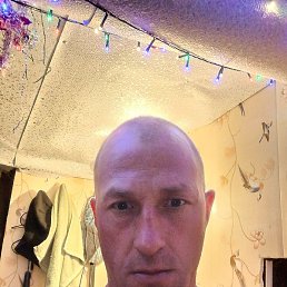 ����, �����-���������, 43 ����